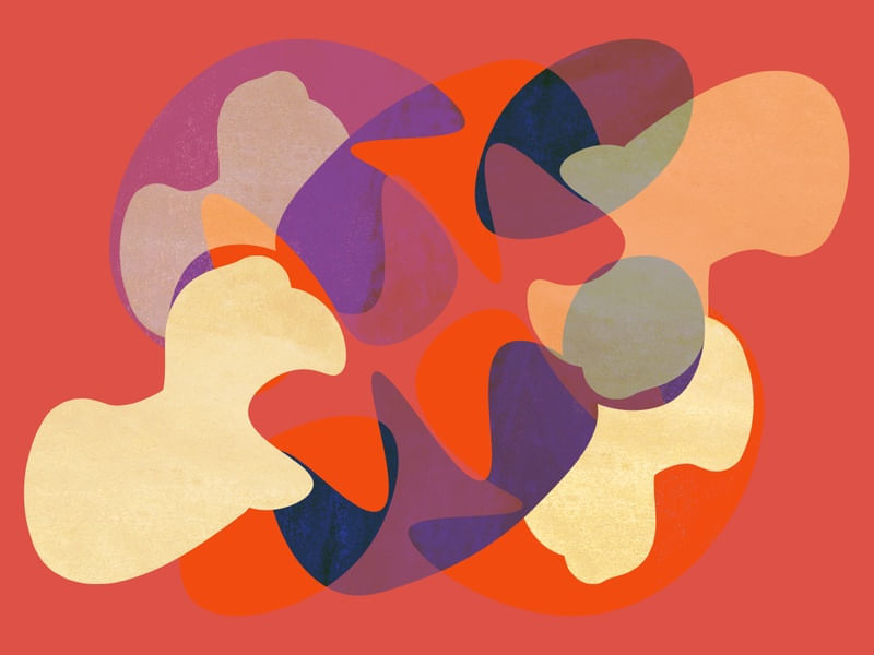 ORGANIC SHAPES 001