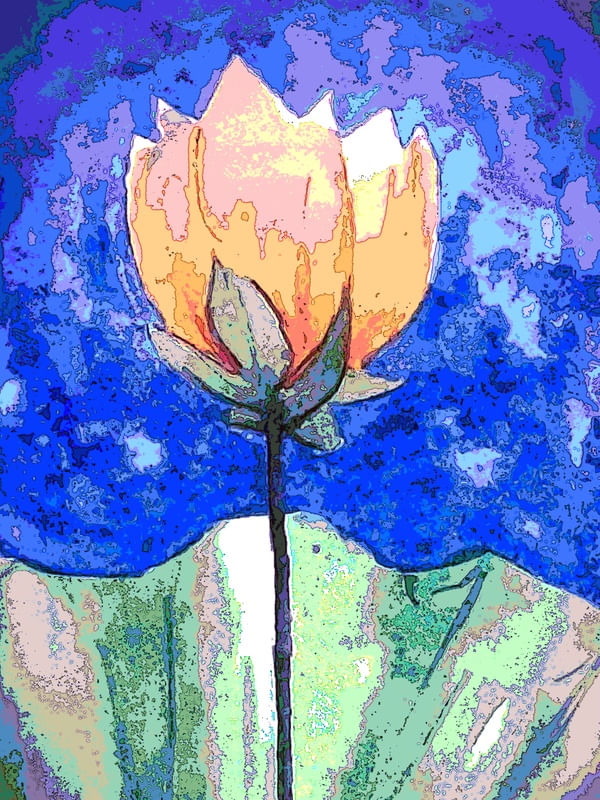 FLORAL 11703