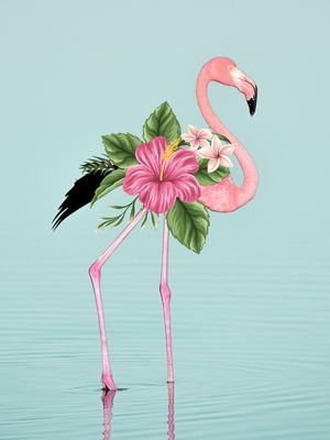 FLAMINGO HIBISCO