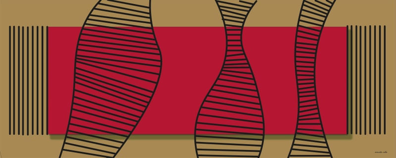 CAMINHOS DO RUBI - HISTORIA DO BRASIL