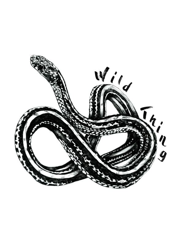 WILD THING