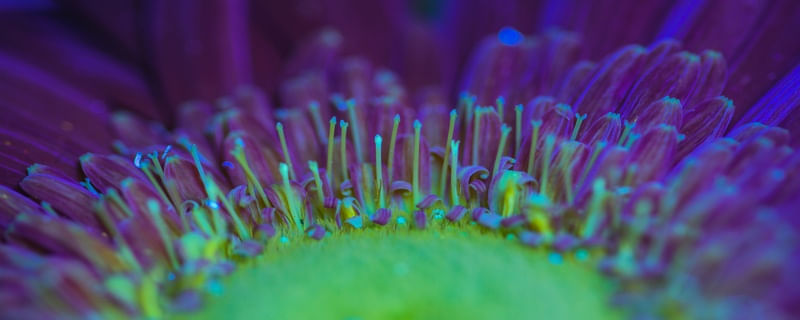UV LIGHT SERIES (DETALHES) (2)