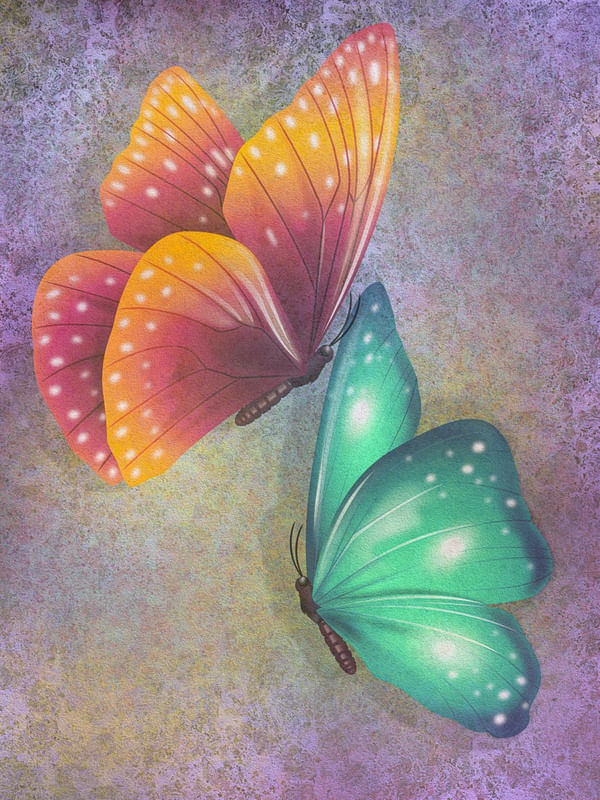 COLORFUL BUTTERFLIES