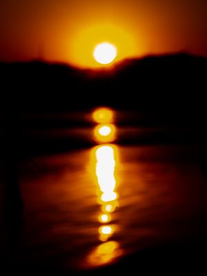 SOL L
