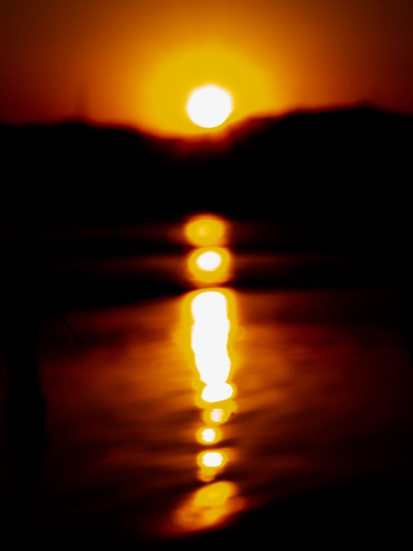 SOL L