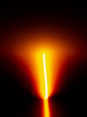 FLOR DE LUZ L