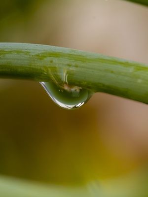 A GOTA D'AGUA