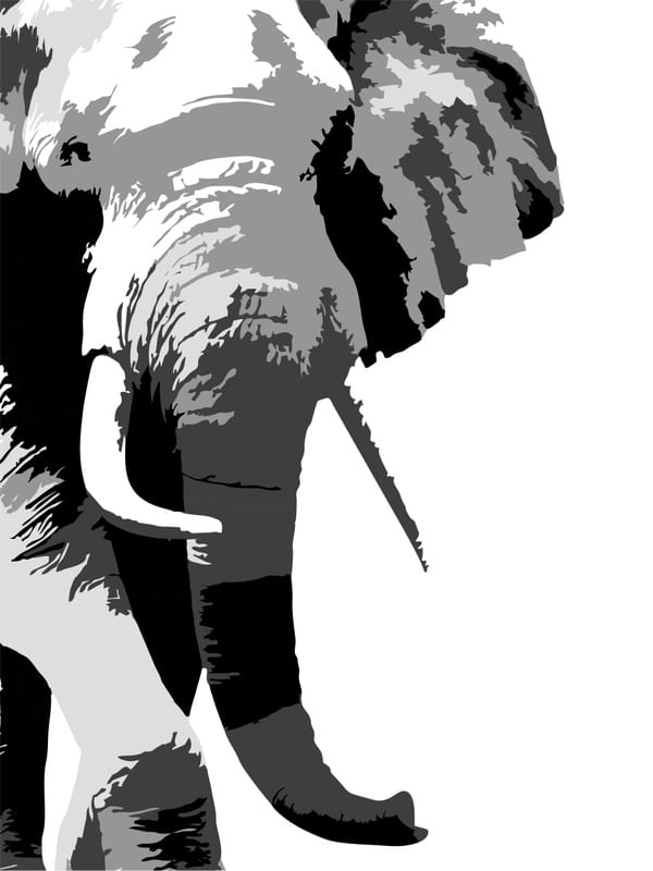ELEFANTE PB - DV