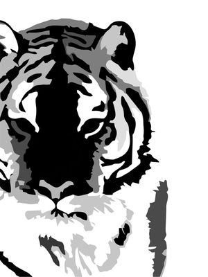 TIGRE PB - DV