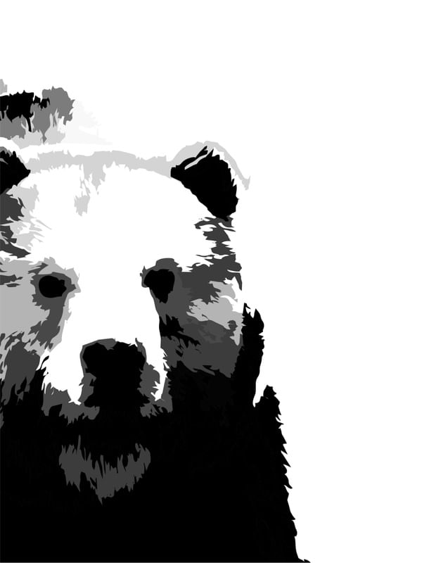 URSO PB - DV