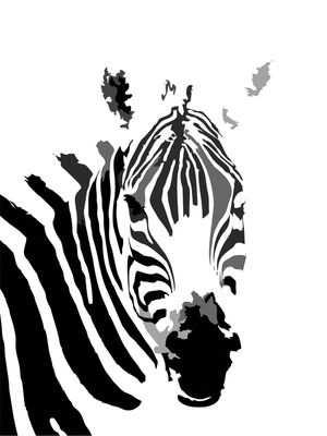 ZEBRA PB - DV