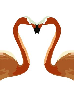 FLAMINGO 3 - DV