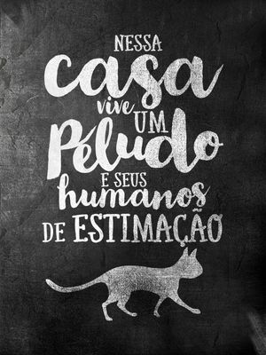 CAT PELUDO