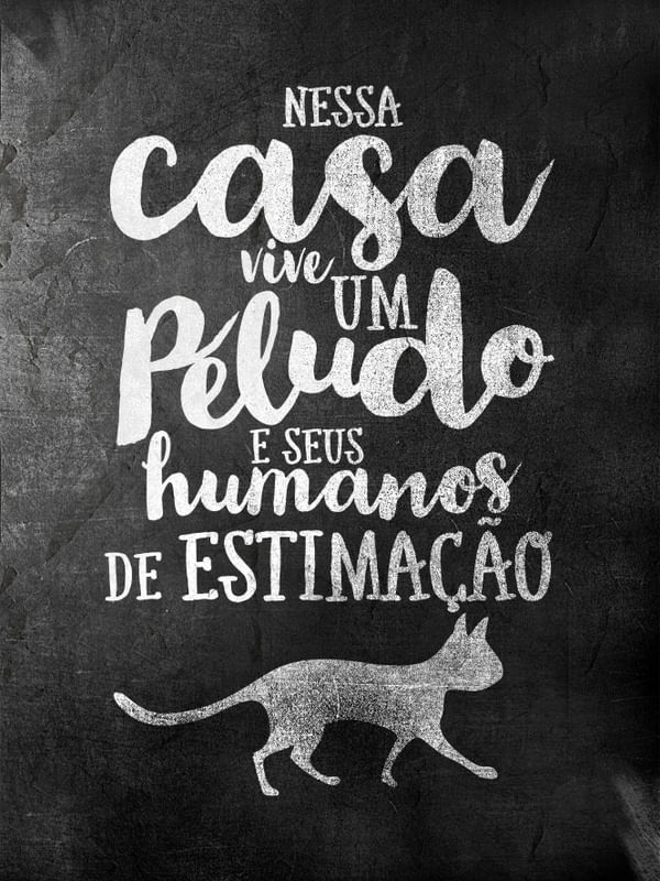 CAT PELUDO