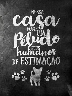 PELUDO DOG
