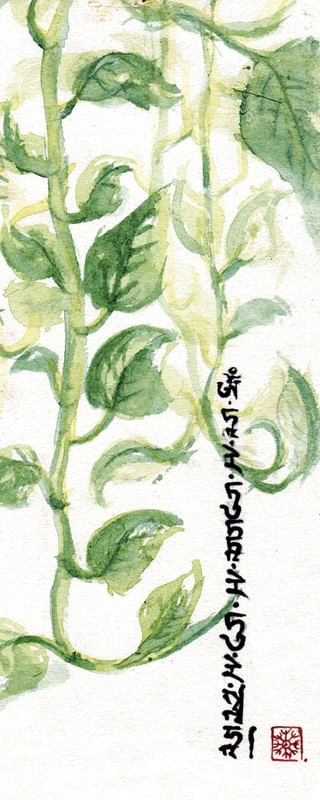 CULTIVO INTERNO