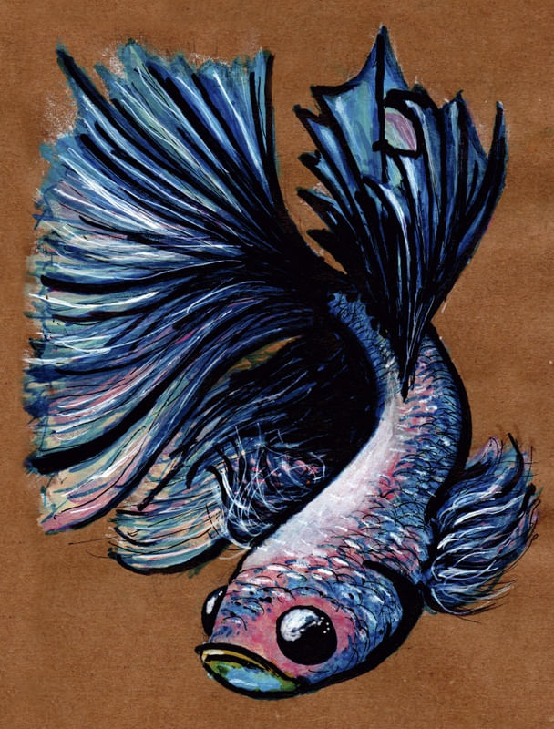 BETA ORNAMENTAL