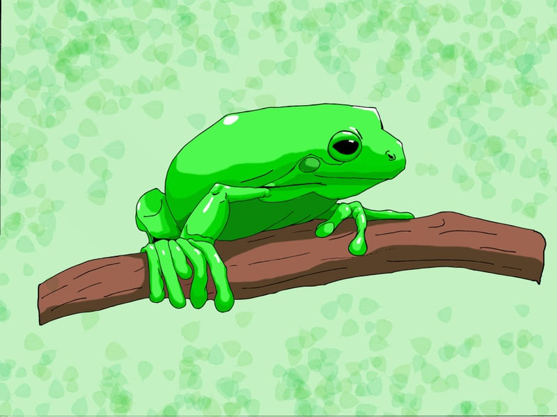 GREEN FROG