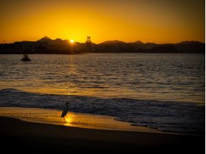 NASCER DO SOL - GARÇA