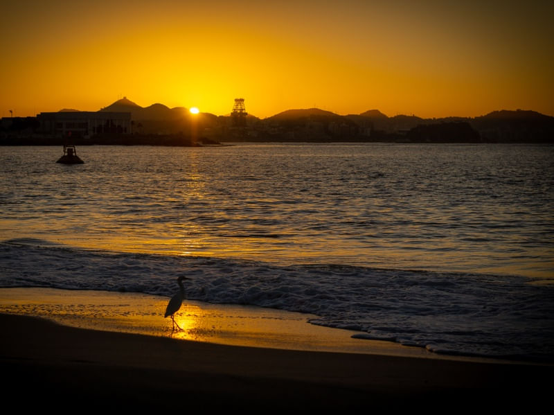 NASCER DO SOL - GARÇA