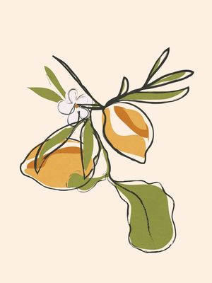 MODERN MINIMALIST LEMONS