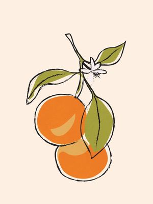 MODERN MINIMALIST ORANGES
