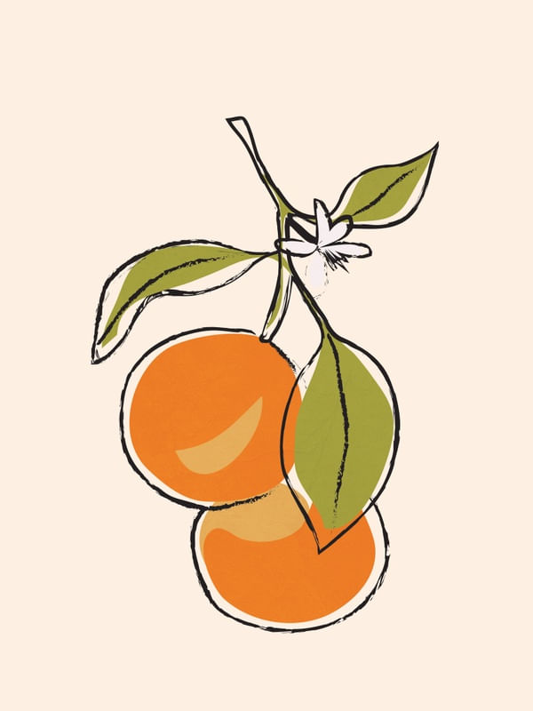 MODERN MINIMALIST ORANGES