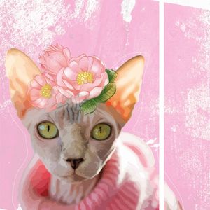 FIFITHECAT