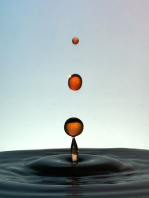 GOTA CÍRCULO