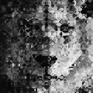 GRAY GEOMETRIC LION KING