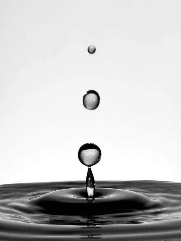 GOTA CÍRCULO EM PRETO E BRANCO