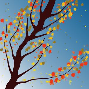 AUTUMNUS