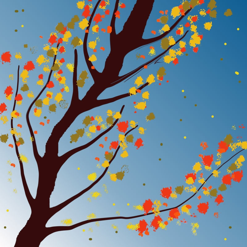 AUTUMNUS