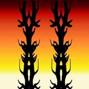 GENERE II