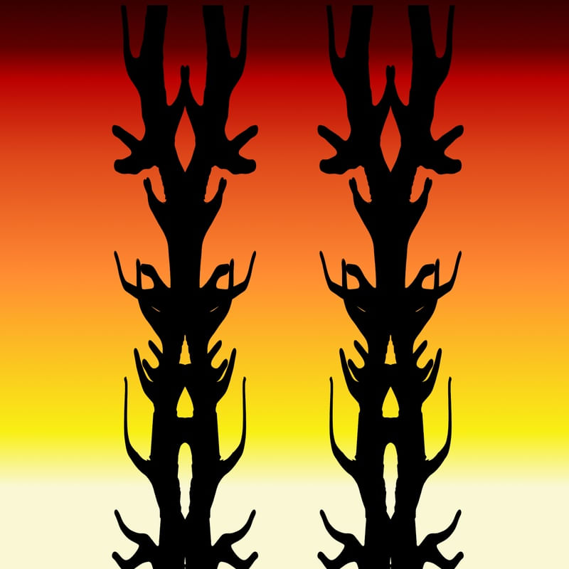 GENERE II