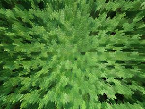 GREEN BLOCKS VOSTRO