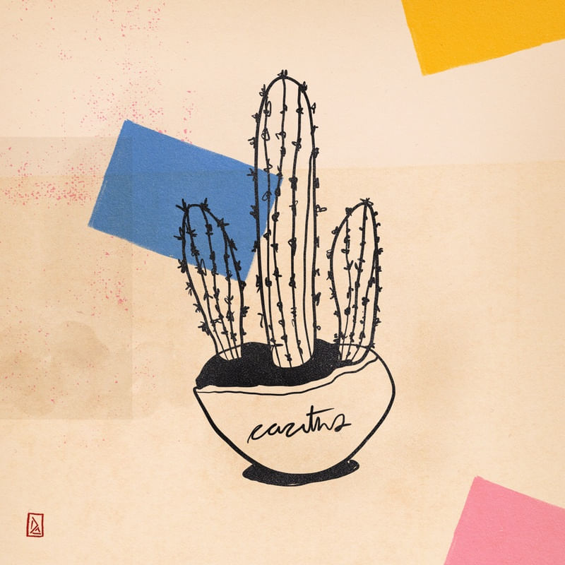 A POTTED CACTUS