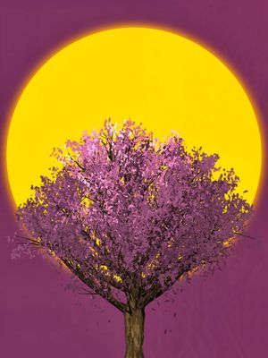 BIG SUN