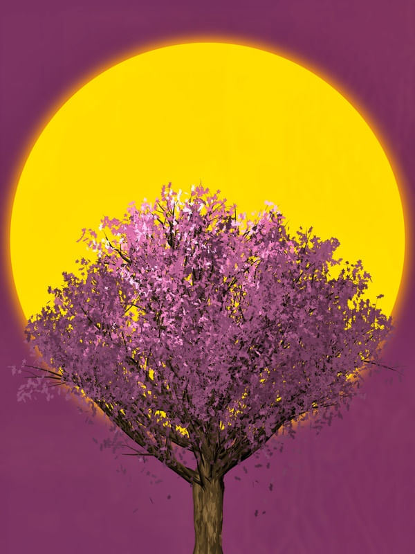 BIG SUN