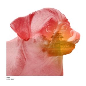 CITIES & DOGS / PUG - BEIJIN