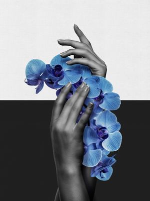 HAND ORQUÍDEA