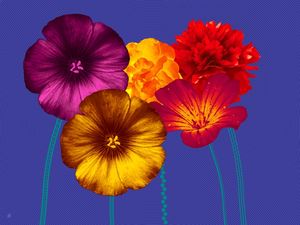 WARHOLIANAS - FLORES ARTIFICIAIS 1