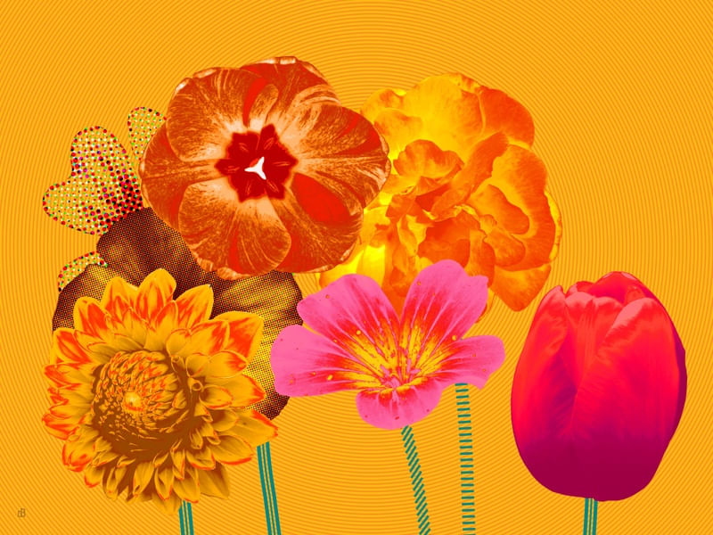 WARHOLIANAS - FLORES ARTIFICIAIS 2