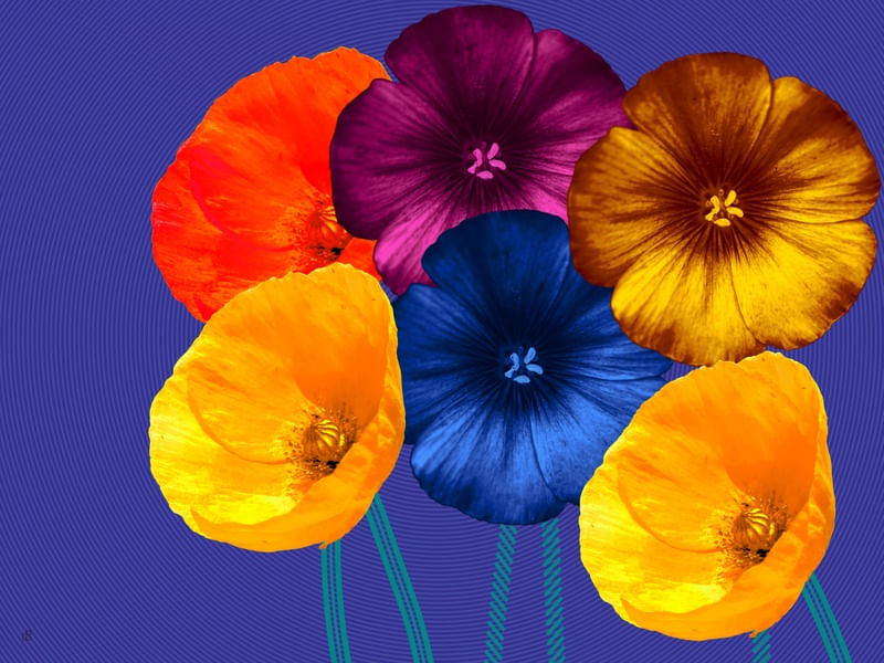 WARHOLIANAS - FLORES ARTIFICIAIS 3
