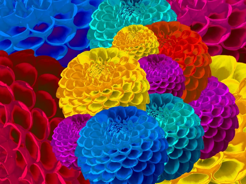 WARHOLIANAS - FLORES ARTIFICIAIS 5