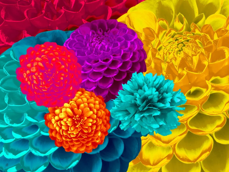 WARHOLIANAS - FLORES ARTIFICIAIS 9