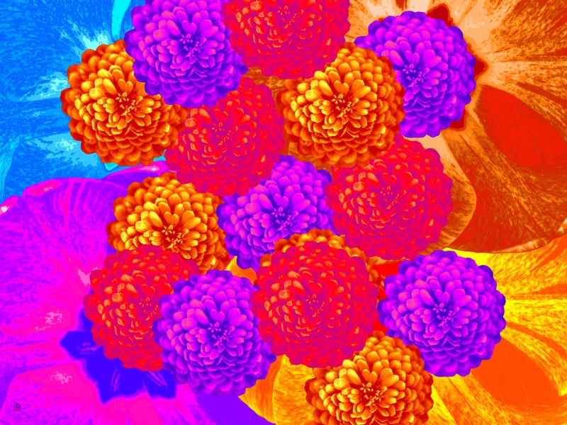 WARHOLIANAS - FLORES ARTIFICIAIS 10