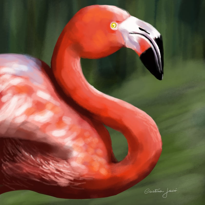 FLAMINGO PERFIL