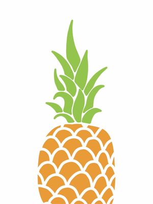 ABACAXI LARANJA FUNDO BRANCO