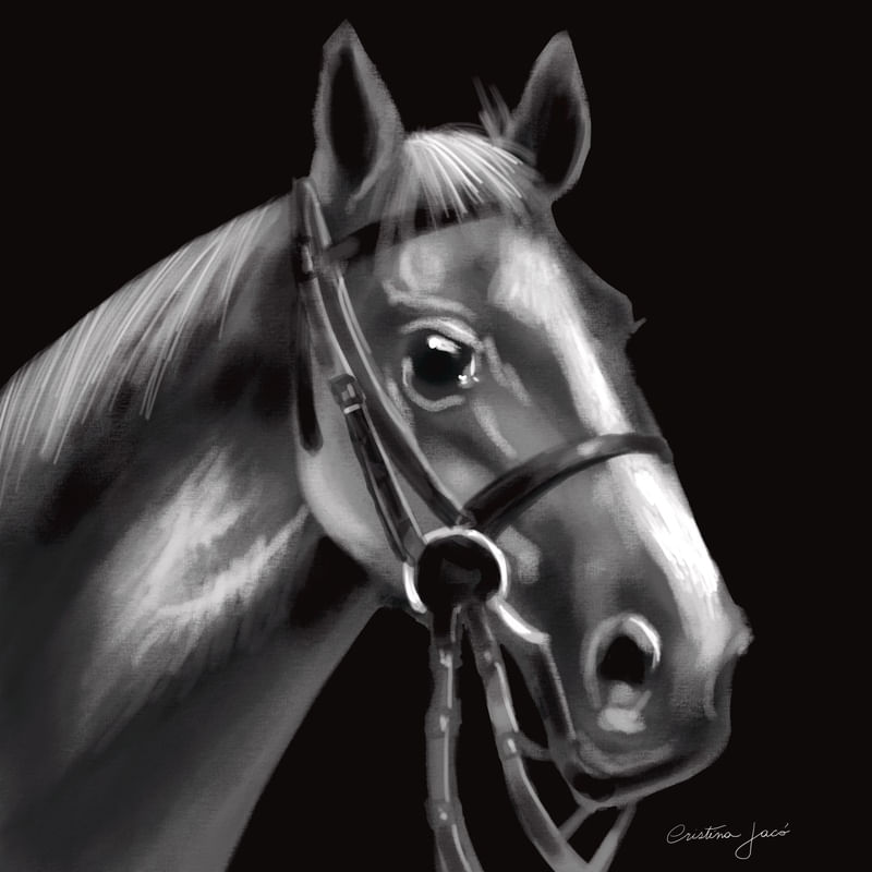 CAVALO CINZA E PRETO